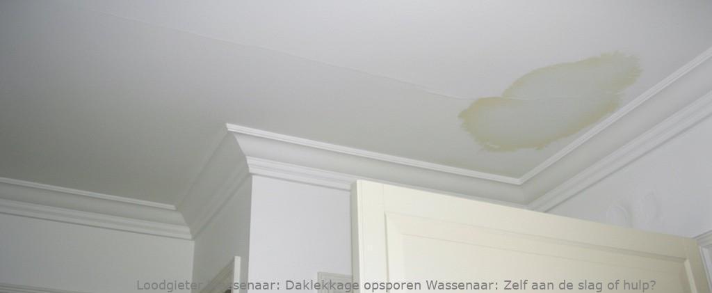 Daklekkage Opsporen Wassenaar