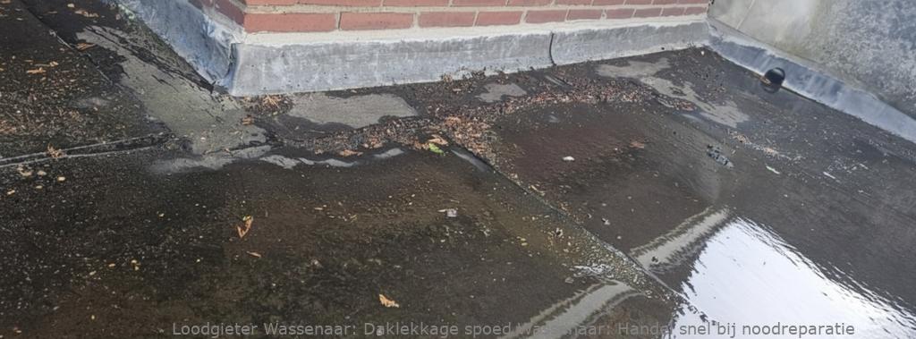Daklekkage Spoed Wassenaar
