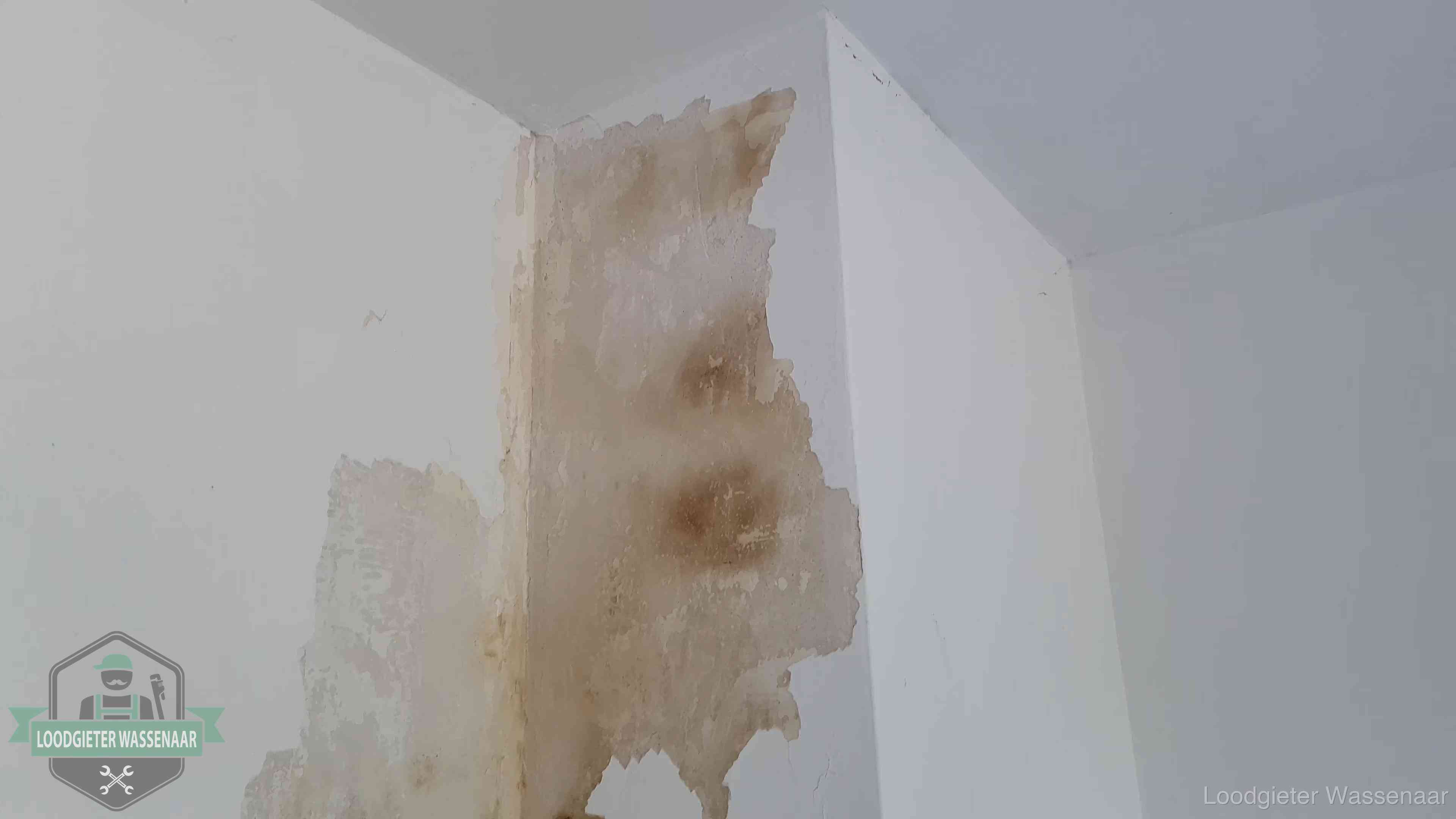 Daklekkage herkennen in Wassenaar Bruine vochtkringen en afbladderend stucwerk op een binnenmuur in Wassenaar, een eerste teken van daklekkage