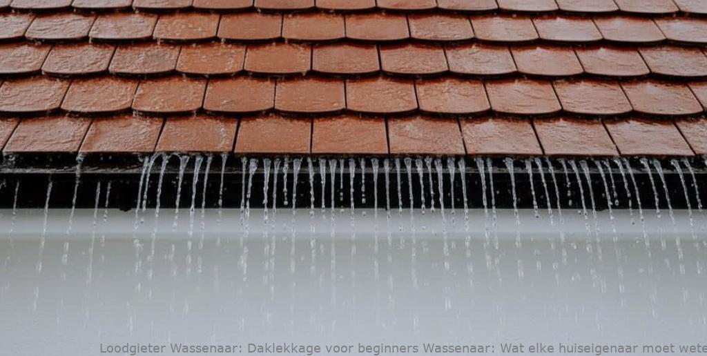 Daklekkage Voor Beginners Wassenaar