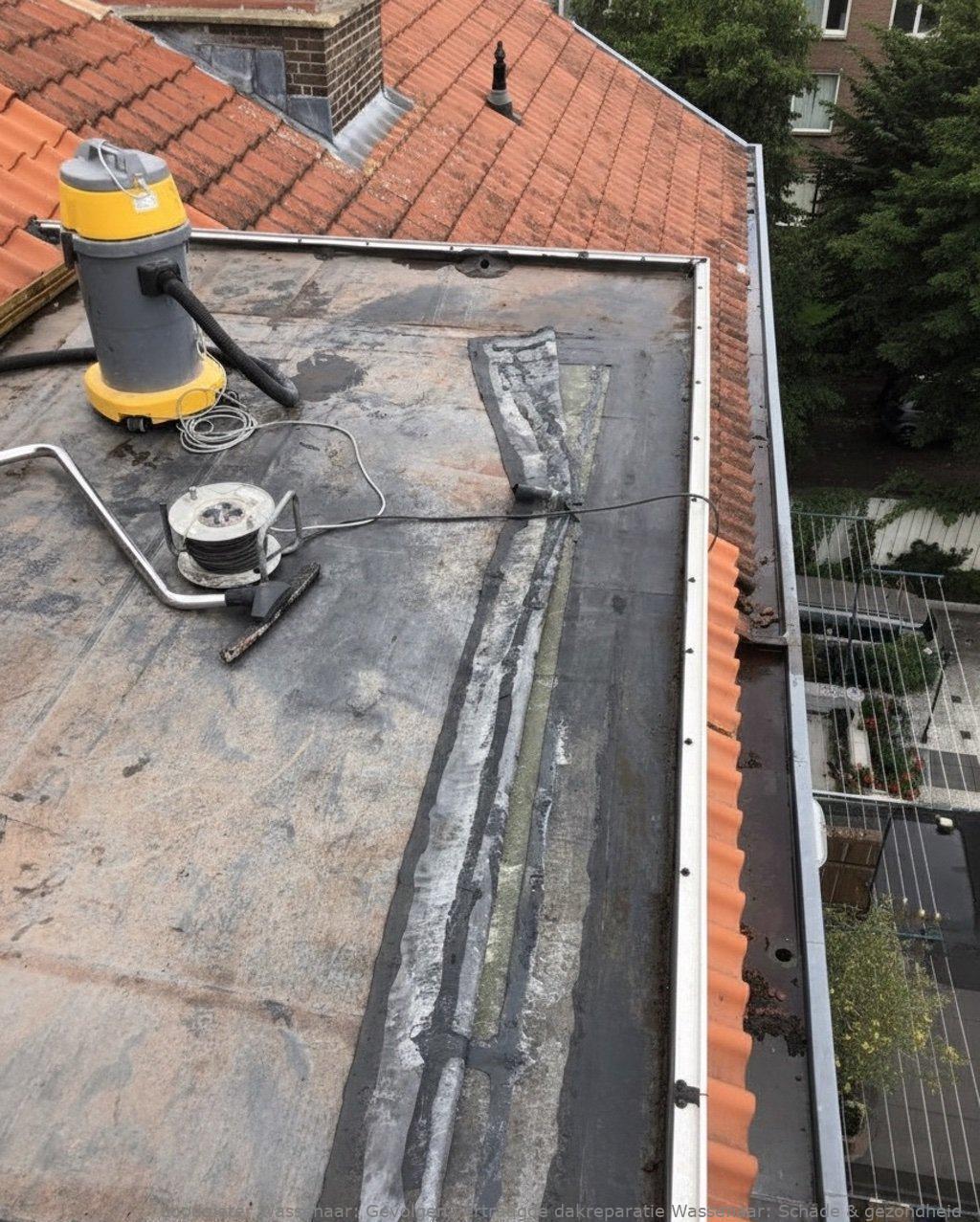 Gevolgen Vertraagde Dakreparatie Wassenaar