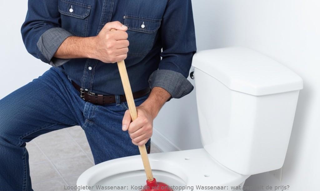 Kosten Wc Ontstopping Wassenaar
