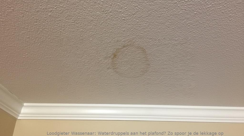 Lekkage Plafond Wassenaar