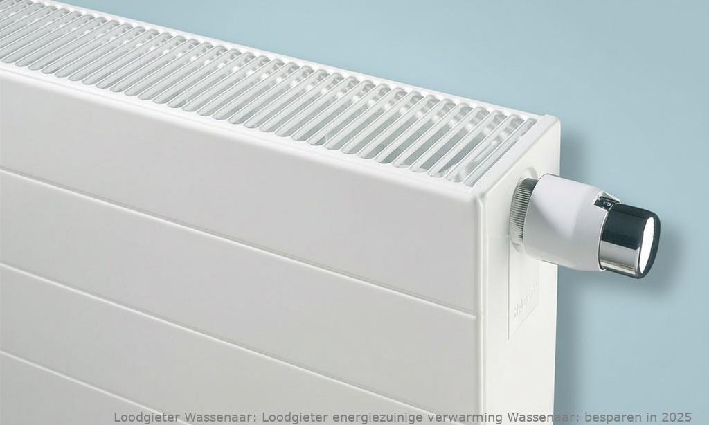 Loodgieter Energiezuinige Verwarming Wassenaar
