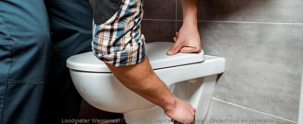 Loodgieter Sanitair Wassenaar