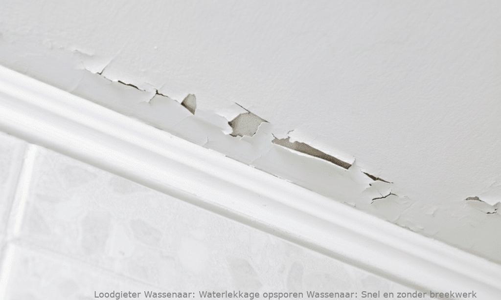 Waterlekkage Opsporen Wassenaar