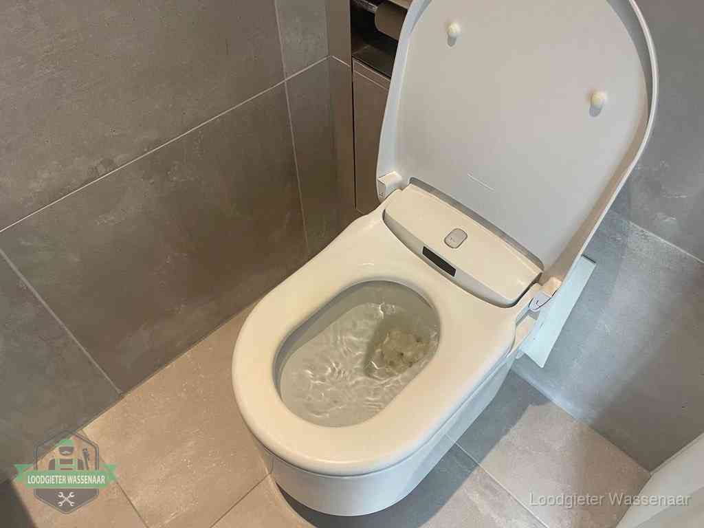 Wc Verstopt In Wassenaar