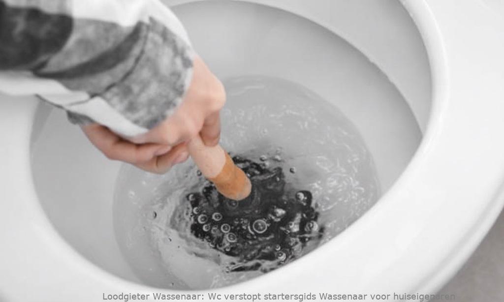 Wc Verstopt Startersgids Wassenaar